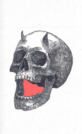 Crimson Howl. Art Print.