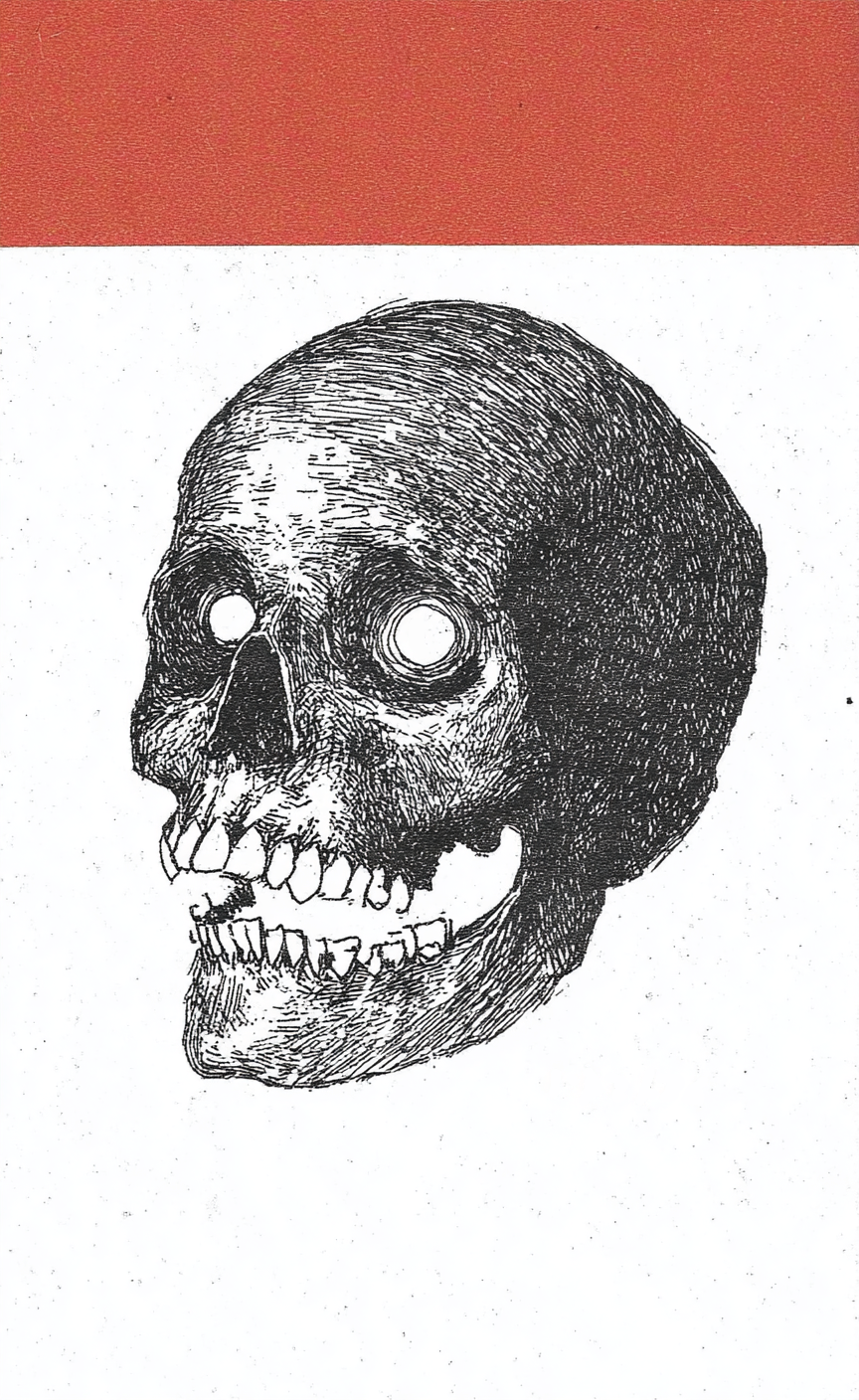Empty Witness. Art Print.