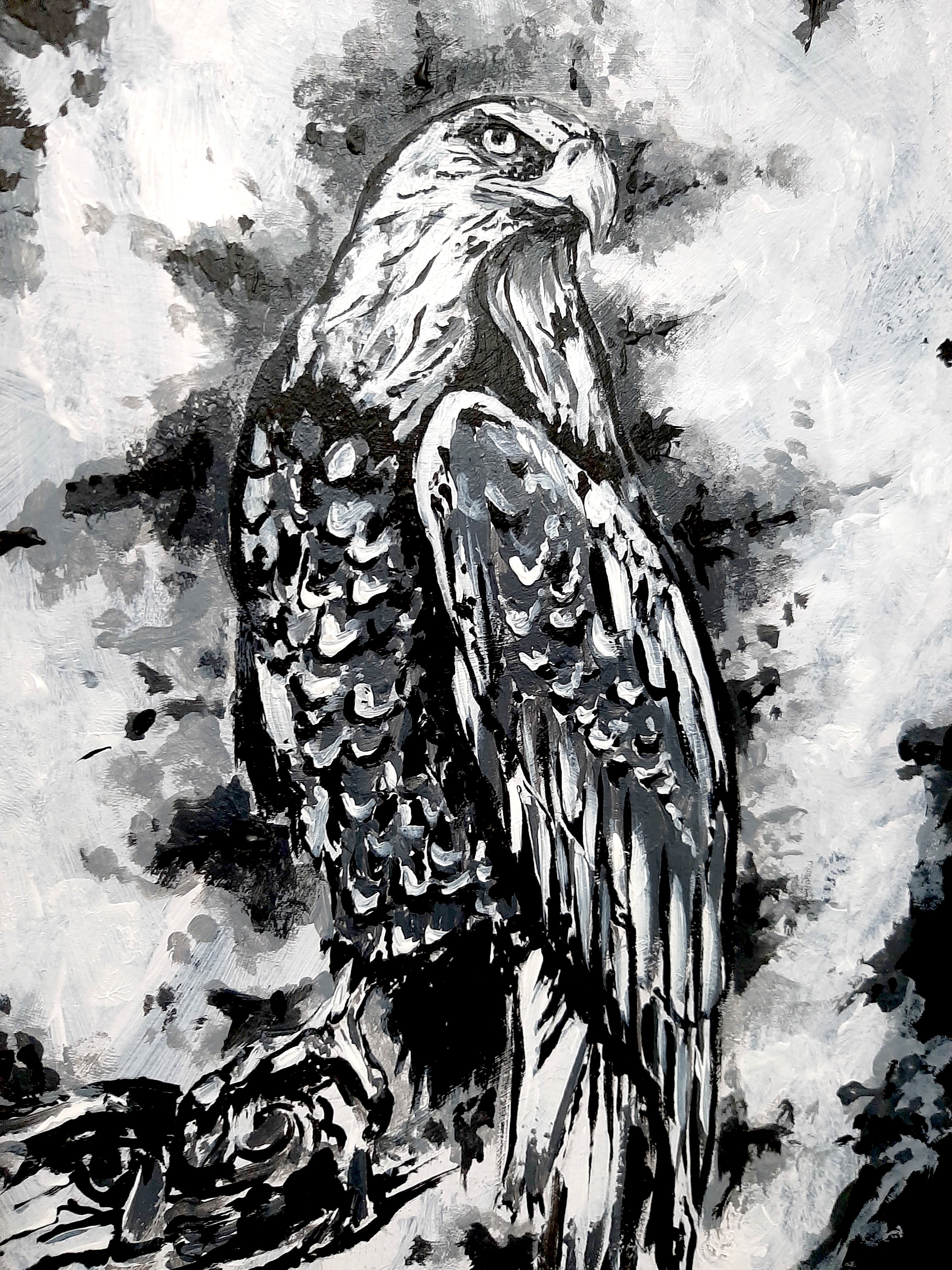 The eagle by moonlight. Vintage original artwork.