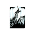The dragons darkness. dragon, Gothic, witch, mythical and dark art poster. Gothic Home decor